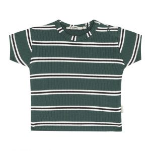 Antebies Galaksi Çizgili Kısa Kollu Tshirt