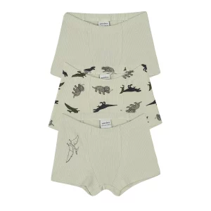Antebies Dinazorların Macerası Boxer Üçlü Set