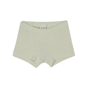 Antebies Dinazorların Macerası Boxer Üçlü Set - Görsel 2