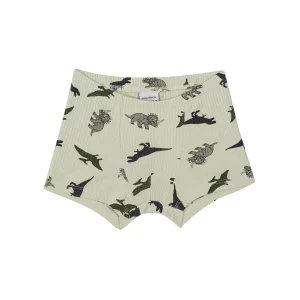 Antebies Dinazorların Macerası Boxer Üçlü Set - Görsel 3