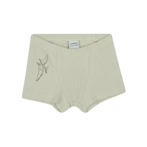 Antebies Dinazorların Macerası Boxer Üçlü Set - Görsel 4