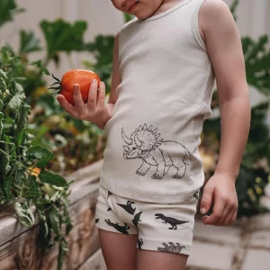 Antebies Dinazorların Macerası Boxer Üçlü Set - Görsel 6