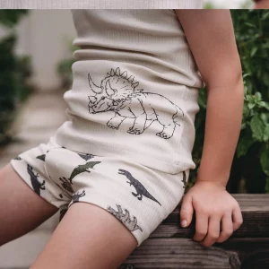 Antebies Dinazorların Macerası Boxer Üçlü Set - Görsel 7
